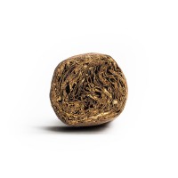 Brick House Short Torpedo Cigar - 1 Single